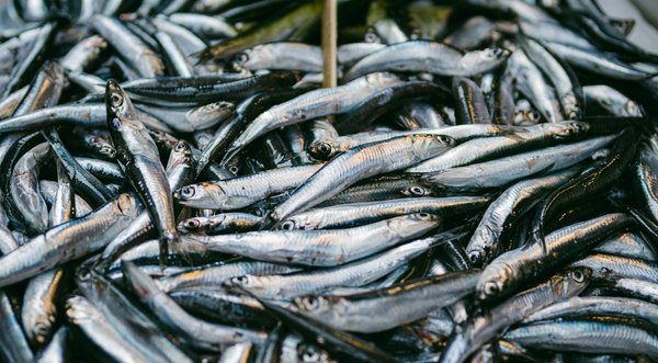 Adoptez une alimentation riche en fibres pour une perte de poids naturelle