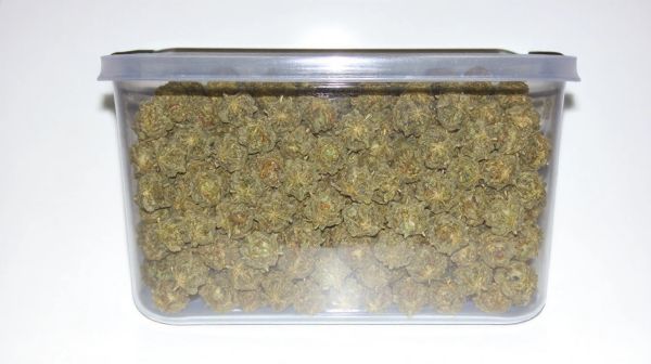 Profitez d'une promotion limitée sur le cbd en kilogrammes !